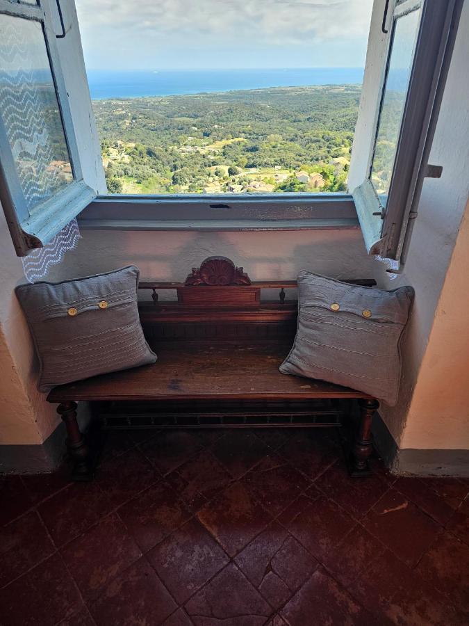 Palazzu Massoni, Magnifique Vue Sur La Mer Et La Montagne, Clim, Wifi, Parking Gratuit Cervione Exterior photo